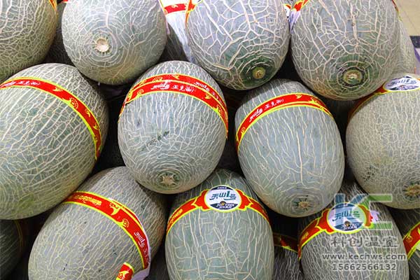 無土栽培，無土栽培技術，無土栽培設備