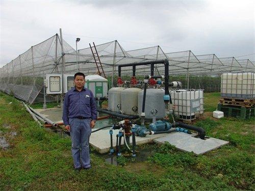 無(wú)土栽培，無(wú)土栽培技術(shù)，無(wú)土栽培設(shè)備