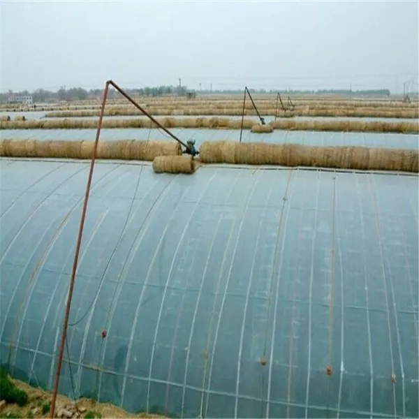 無土栽培，無土栽培技術(shù)，無土栽培設(shè)備