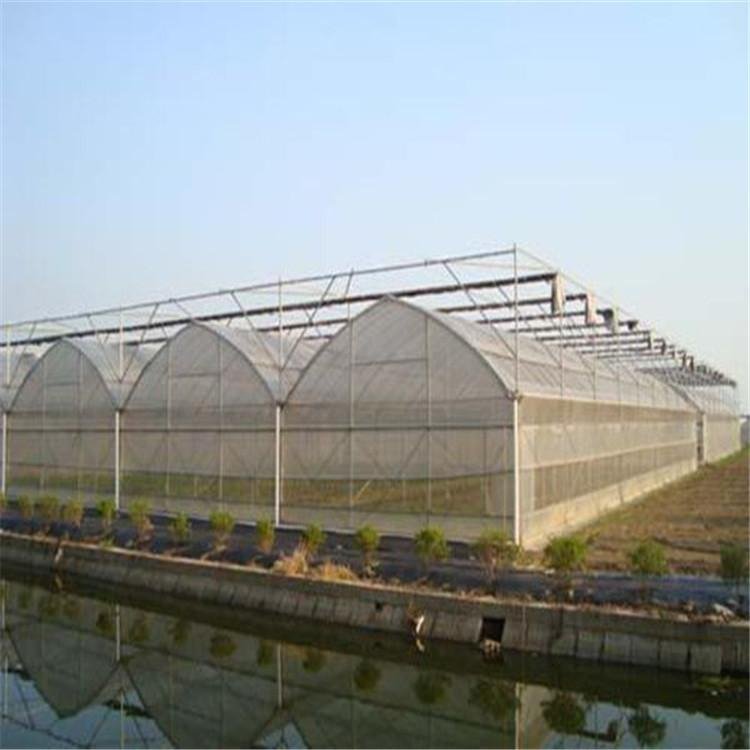 無土栽培，無土栽培技術(shù)，無土栽培設(shè)備